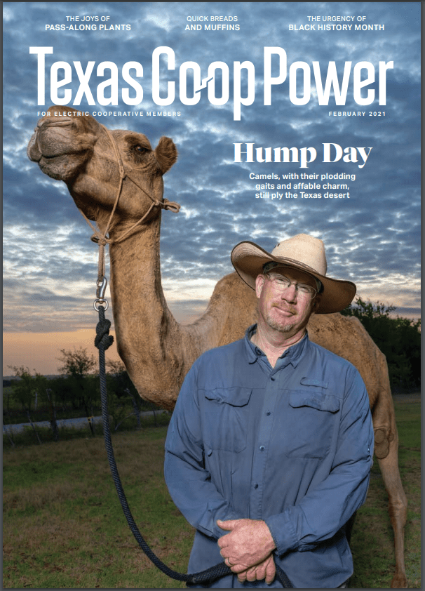 Texas CoOp Power Magazine San Bernard Electric Cooperative